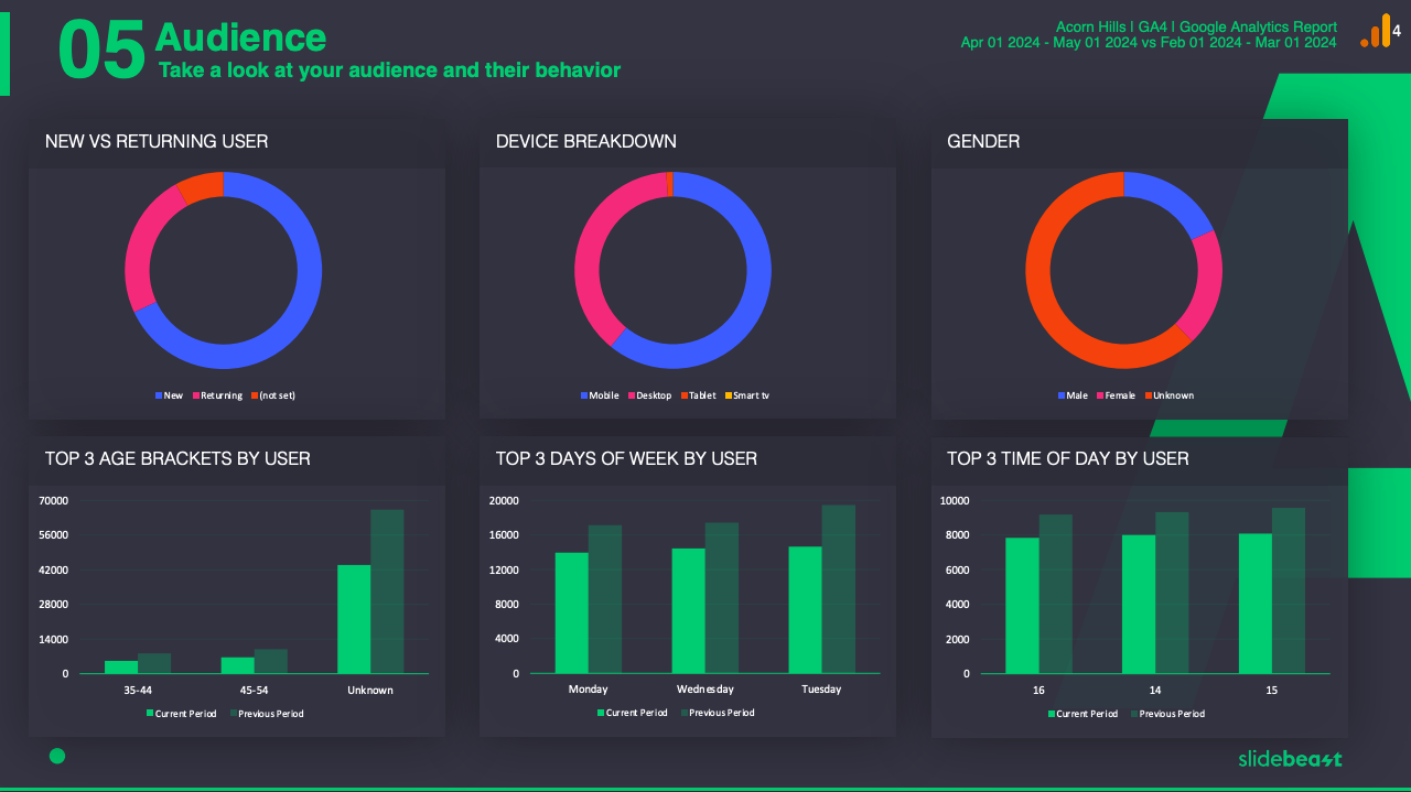 Slidebeast Google Analytics 4 Audience Report